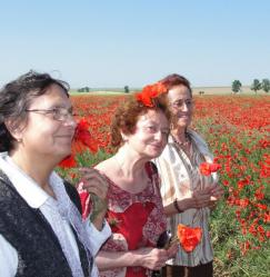 Pelerinaj in Dobrogea