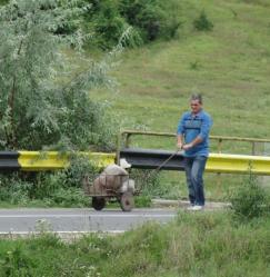 Pelerinaj cu tinerii parohiei